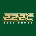 222C Game